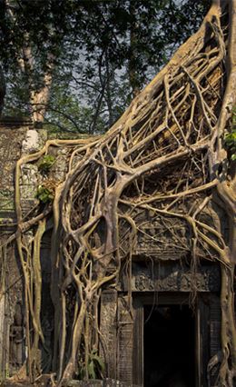 Le Cambodge