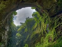 Les parcs nationaux du Vietnam et du Laos reconnus comme site du patrimoine mondial transfrontalier
