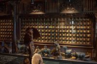 Musée de la médecine traditionnelle vietnamienne  (musée FITO)