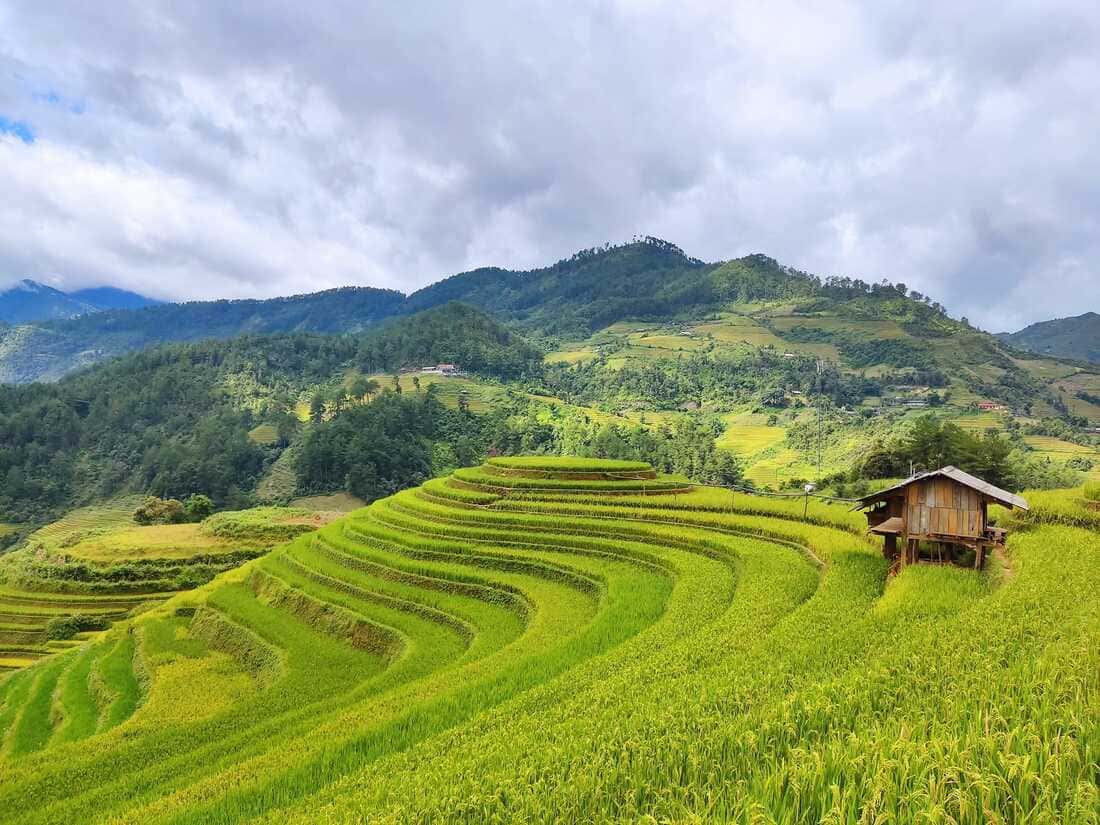 Les plus belles rizières en terrasses d’Asie du Sud-Est