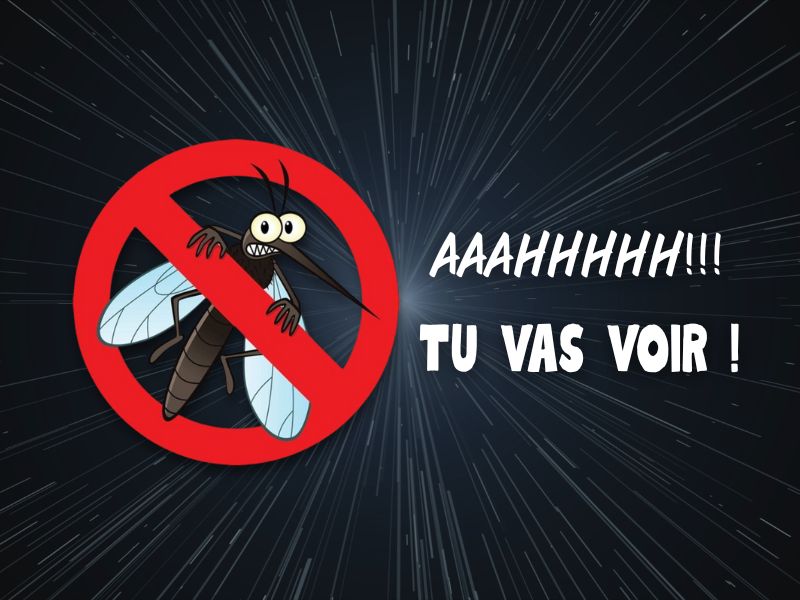 Anti-moustique Thaïlande : Guide complet pour se protéger lors de votre séjour