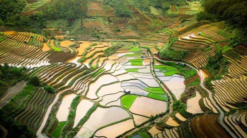 Les plus belles rizières en terrasses d’Asie du Sud-Est