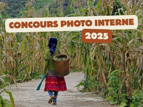 CONCOURS PHOTO INTERNE 2025 - LES INSTANTS QUI LAISSENT UNE IMPRESSION