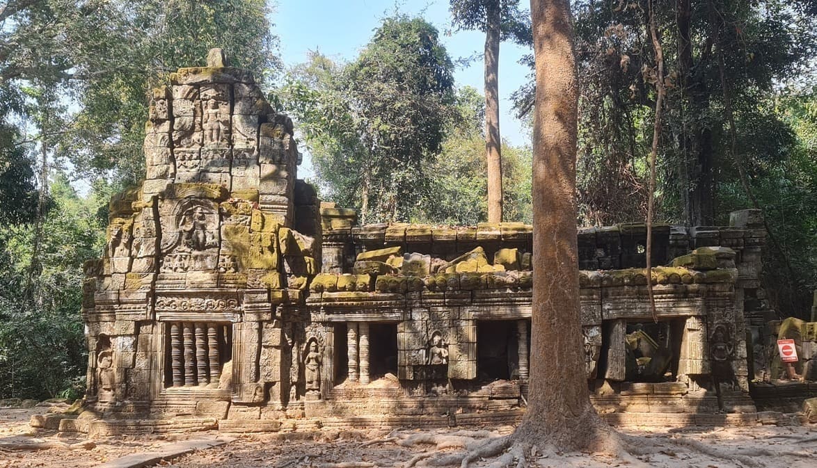 Ta Prohm : Le temple mystérieux sous létreinte des racines géantes