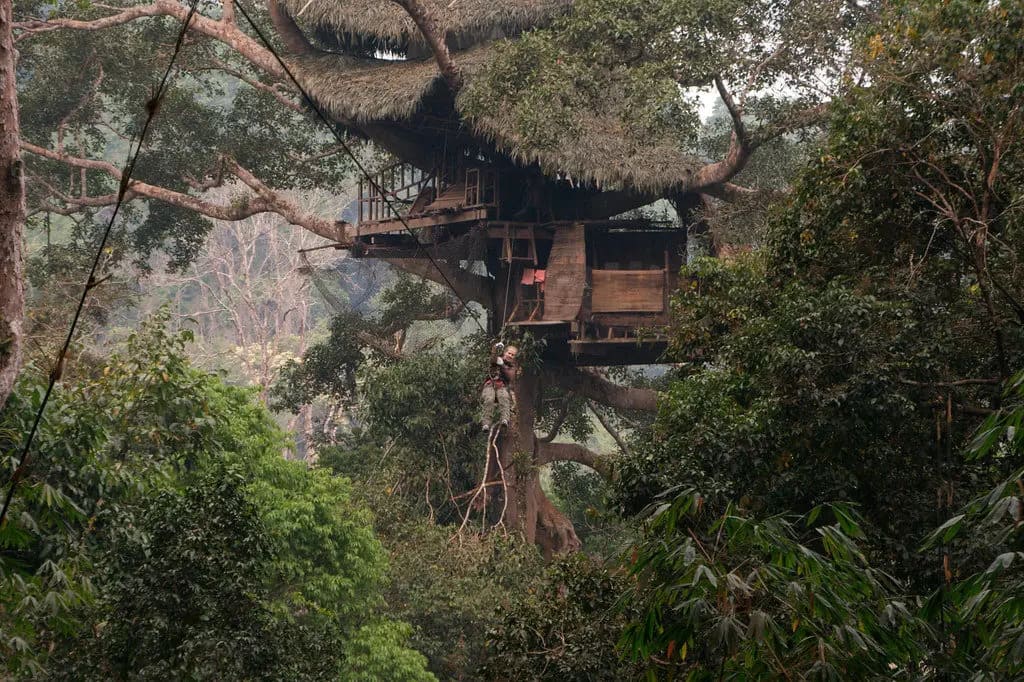 Gibbon Experience : Votre aventure dans la jungle sauvage du Laos