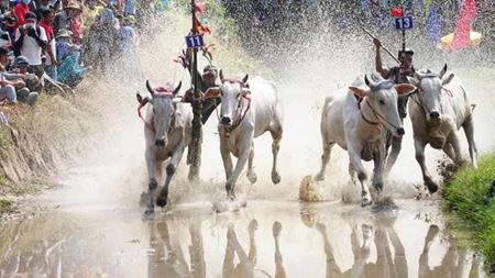Top 10 fêtes au Vietnam et des festivals culturels emblématiques