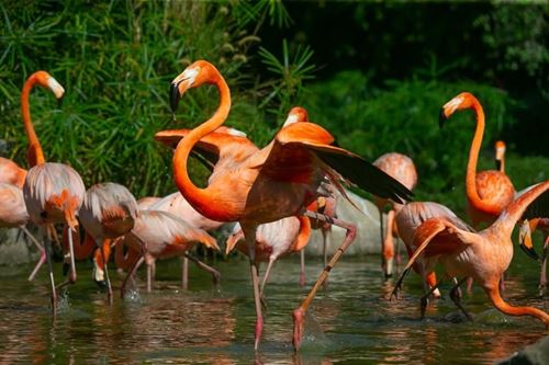 Parcs nationaux du Vietnam : les 9 à connaître