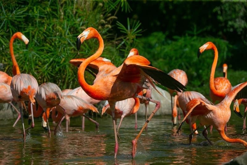 Parcs nationaux du Vietnam : les 9 à connaître