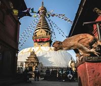 7 destinations asiatiques que Tripadvisor place en tête du monde !