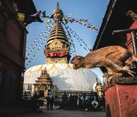 7 destinations asiatiques que Tripadvisor place en tête du monde !