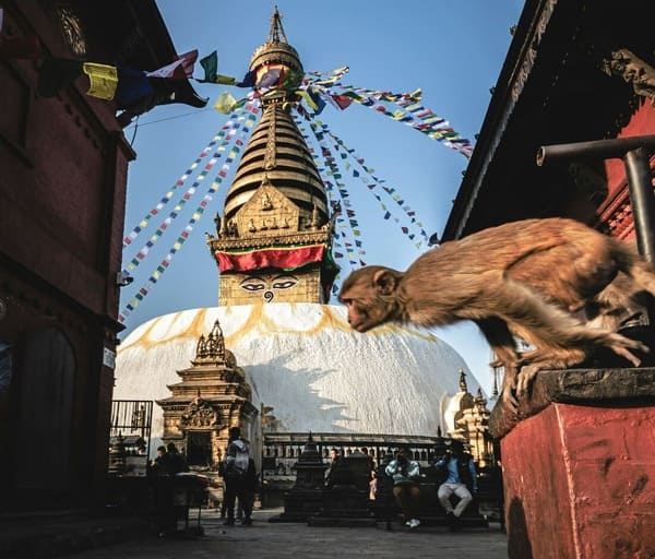7 destinations asiatiques que Tripadvisor place en tête du monde !