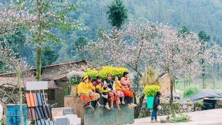 Ha Giang : Guide COMPLET des sites, météo et informations pratiques