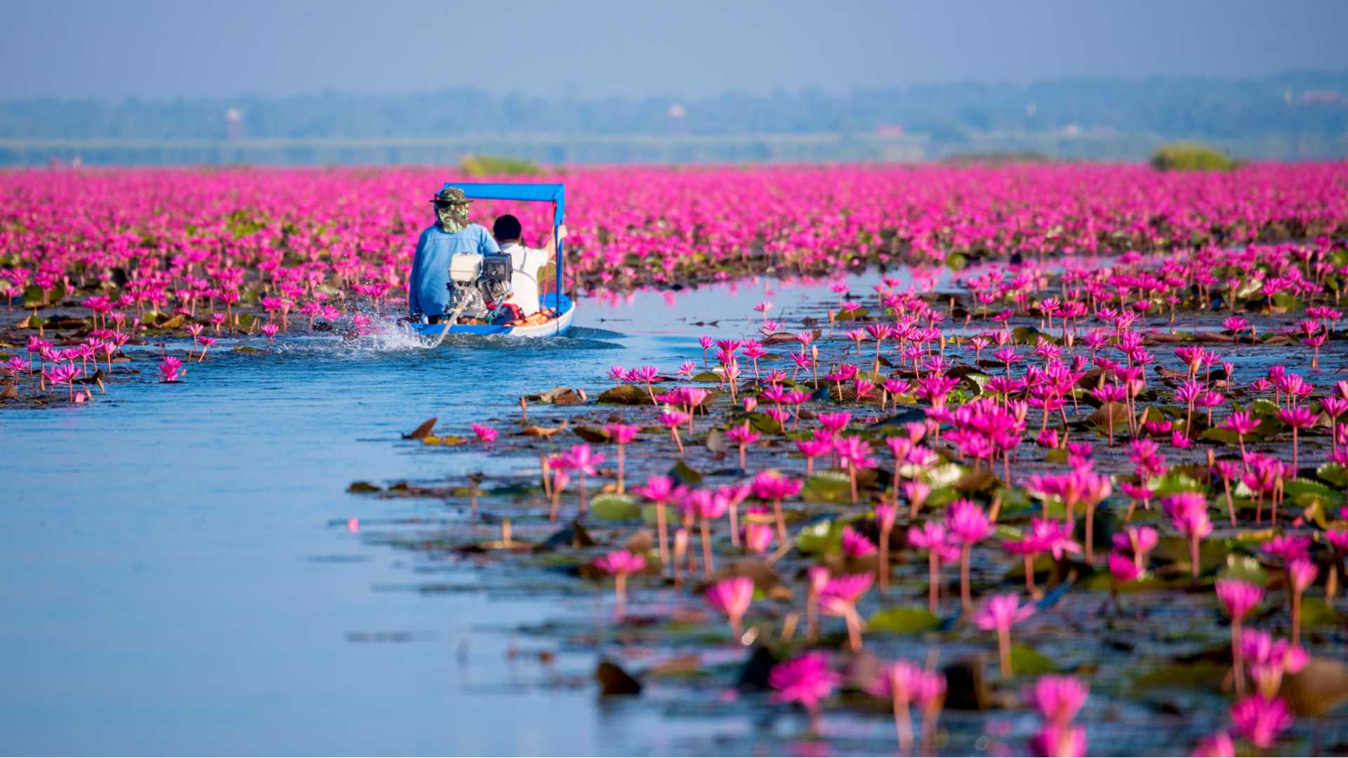 Udon Thani: 6 Questions Essentielles pour un Voyage Réussi