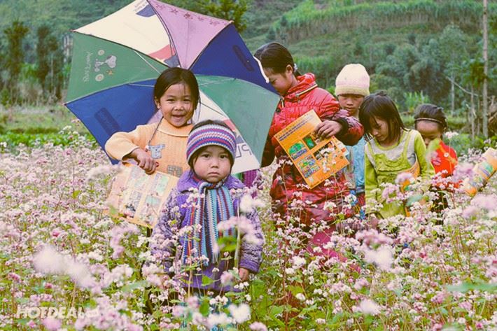 Meo Vac, passage obligé de la boucle envoûtante de Ha Giang
