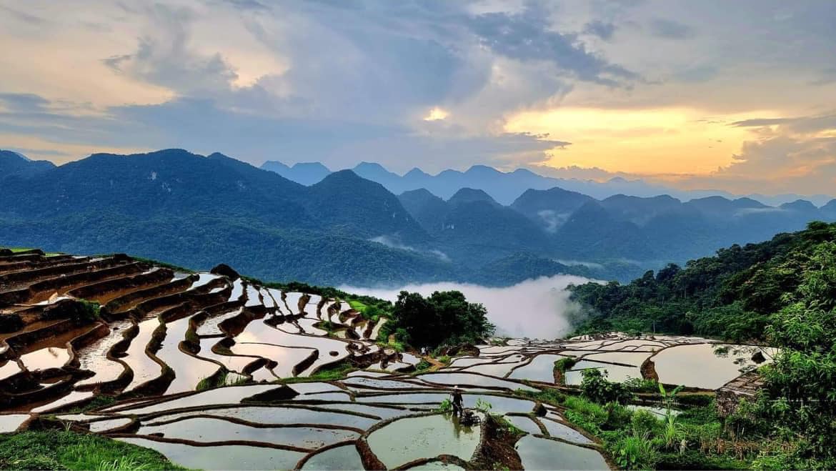 Sapa ou Pu Luong : Guide pour choisir votre prochaine aventure