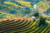 Panorama des plus beaux paysages du Vietnam, entre montagnes, rizières et littoral
