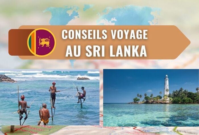 Voyage au Sri Lanka : 14 conseils essentiels tirés dune expérience sur place