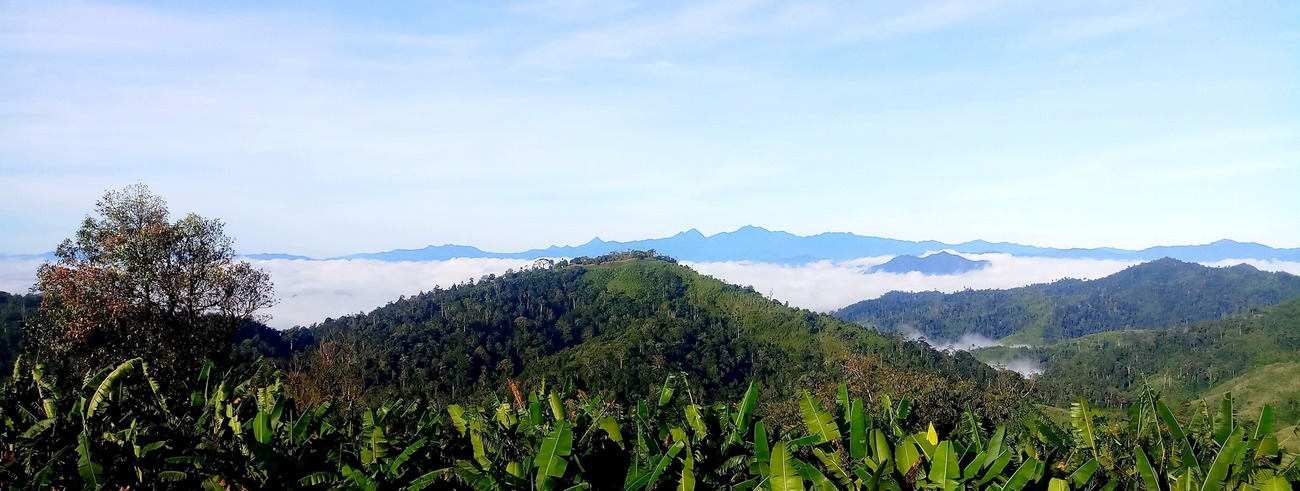 Comment profiter de la Thaïlande en juin ?
