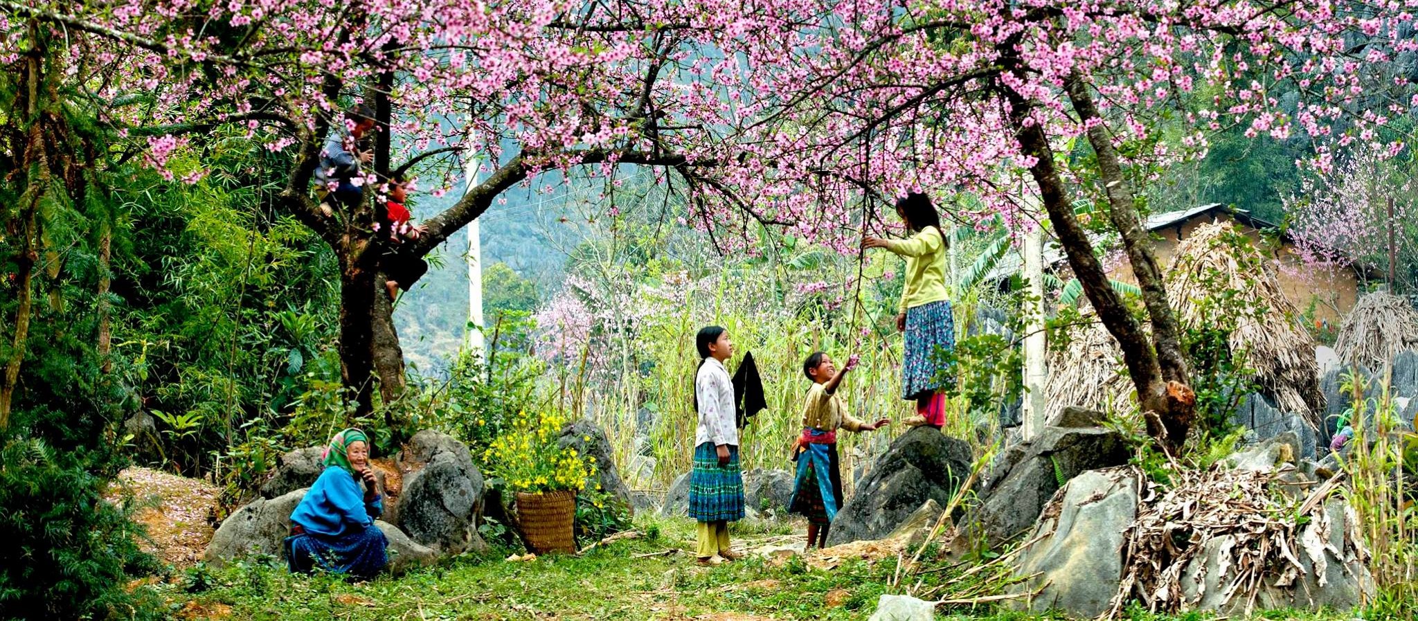 Nouvel an Hmong : traditions du Laos et du Nord Vietnam