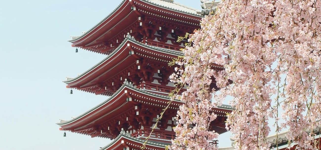 Où partir en Asie en mars : 6 idées de voyage pour vivre un mois inspirant