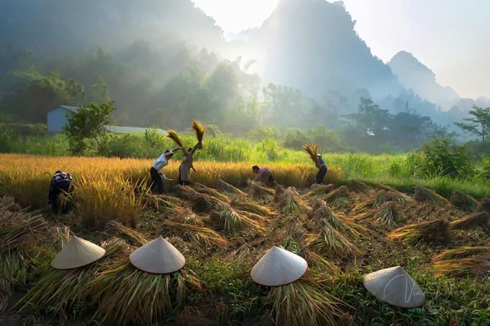 Phong Nam (Cao Bang) : Le secret le mieux gardé du Vietnam