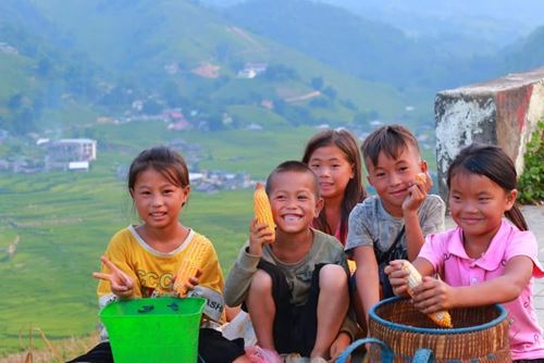 Sapa ou Pu Luong : Guide pour choisir votre prochaine aventure