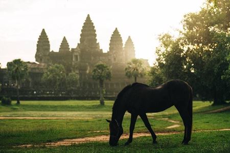 Envie de voyager en Asie cet août ? Découvrez 5 destinations incontournables !