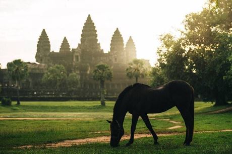 Envie de voyager en Asie cet août ? Découvrez 5 destinations incontournables