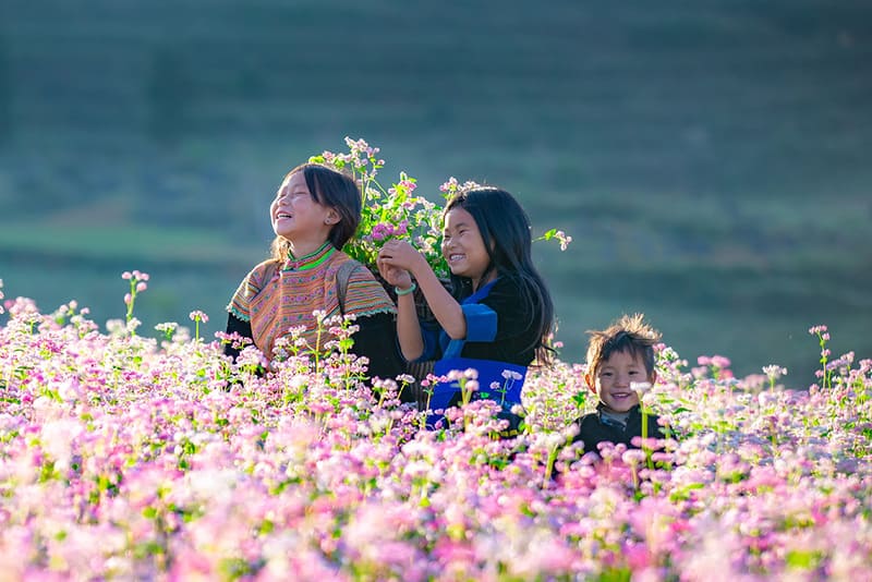Itinéraire Vietnam en 10 jours, entre patrimoine et nature