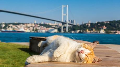 Où partir en Asie en mars : 6 idées de voyage pour vivre un mois inspirant