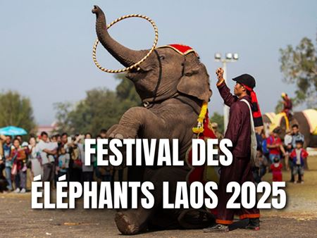 Laos : dates du Festival des Éléphants 2025 annoncées