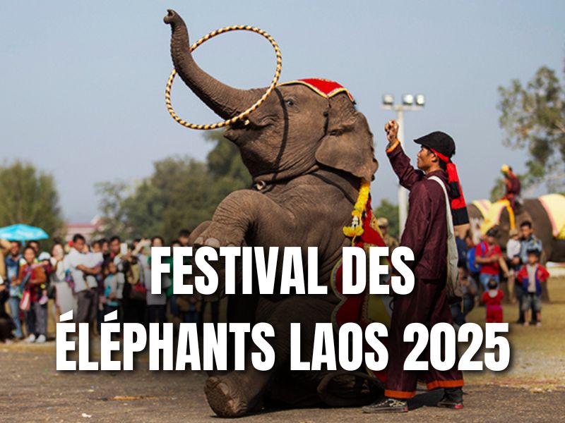 Laos : dates du Festival des Éléphants 2025 annoncées