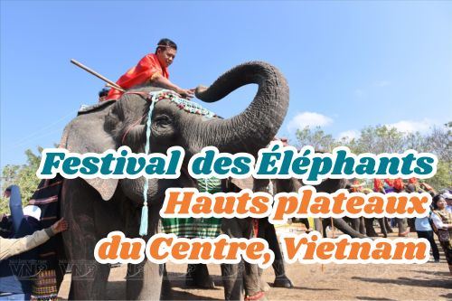 Le Festival des Éléphants dans les Hauts Plateaux du Centre, Vietnam