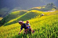 Mu Cang Chai 2024 : Le guide ultime pour un voyage inoubliable