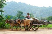  Le charme secret de Battambang : guide essentiel pour un voyage réussi