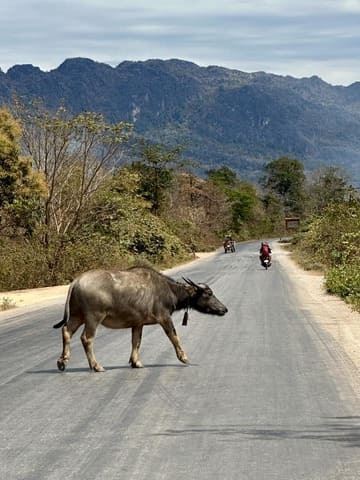Thakhek Loop au Laos : ce qu’il faut savoir avant de se lancer à moto