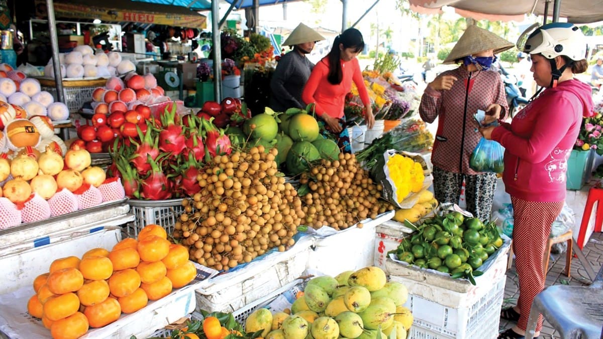 Top 10 des fruits exotiques à goûter lors d’un voyage au Vietnam