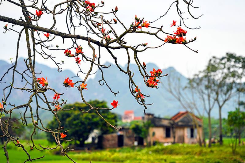 Vietnam du Nord en mars : que voir, que faire, à quoi s’attendre ?