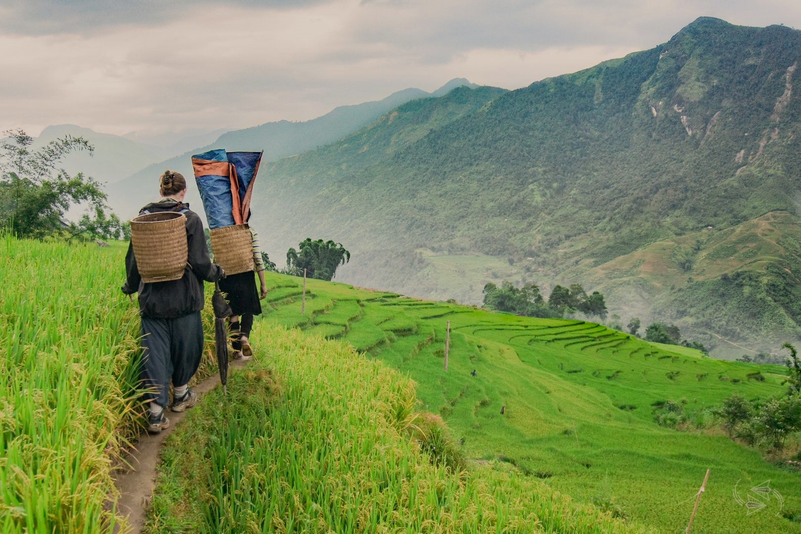 Top meilleurs sites pour les trekkings à Sapa ?