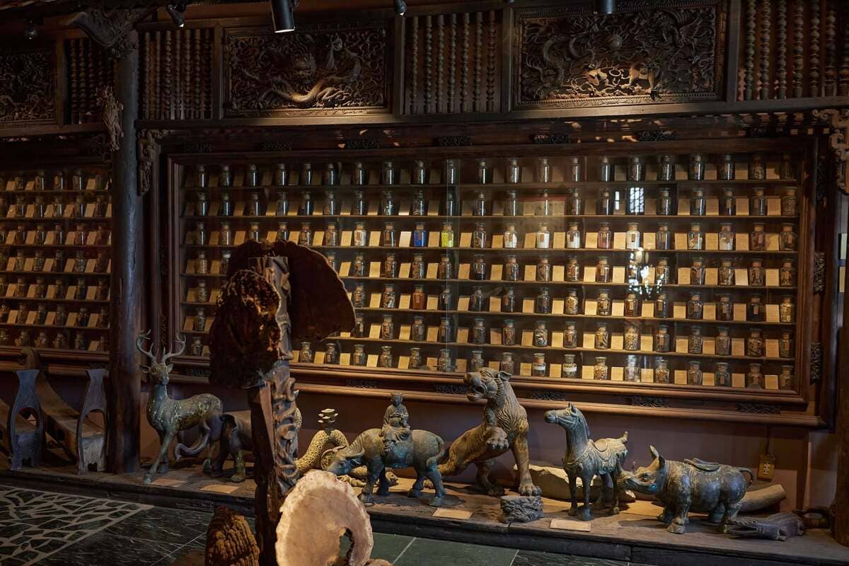 Musée de la médecine traditionnelle vietnamienne (musée FITO)