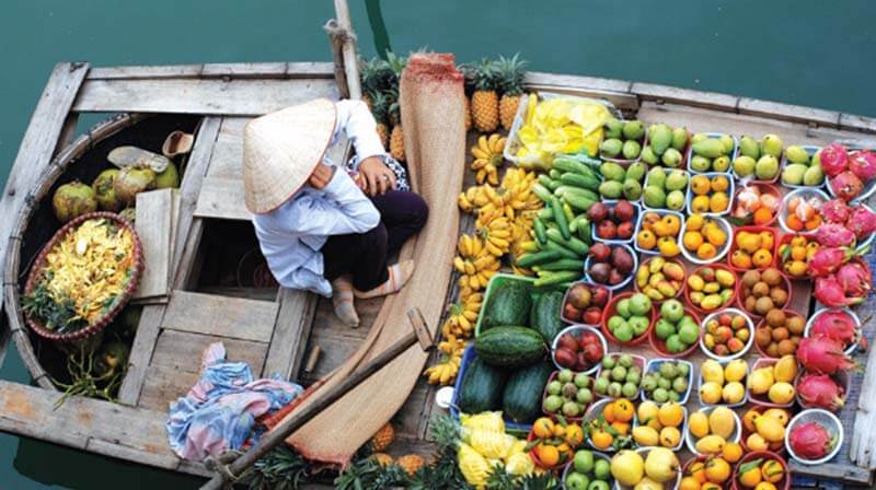 Top 10 des fruits exotiques à goûter lors d’un voyage au Vietnam