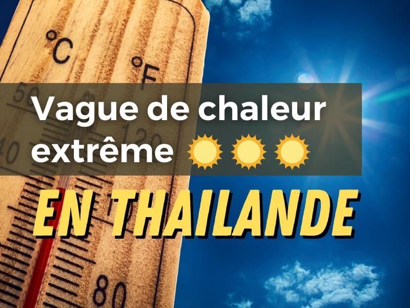 Alerte Canicule : La Thaïlande Frappée par une Chaleur Extrême !