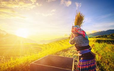 Destinations à visiter absolument au Vietnam et au Cambodge pour les primo-visiteurs