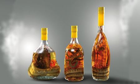 Lalcool de serpent au Vietnam, largent ne suffit pas