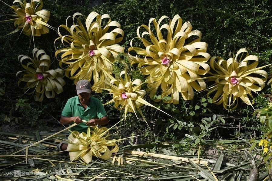 Ben Tre Vietnam: une immersion dans le royaume des cocotiers