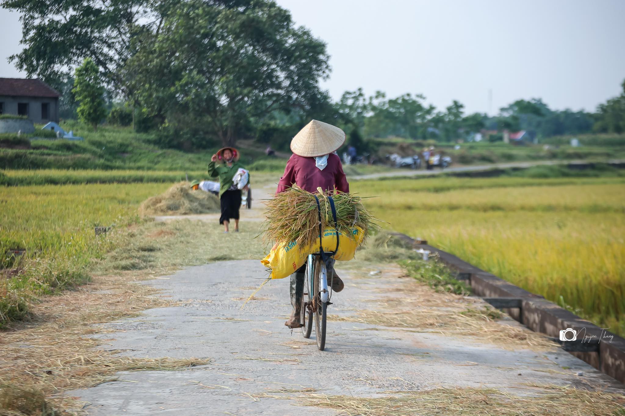 Lancien village de Duong Lam : immersion dans la vie villageoise du Nord