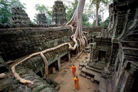 Ta Prohm : Le temple mystérieux sous létreinte des racines géantes