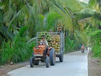 Ben Tre ou Can Tho ? destinations incontournables du delta du Mékong