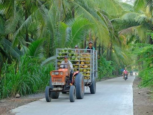 Ben Tre ou Can Tho ? destinations incontournables du delta du Mékong