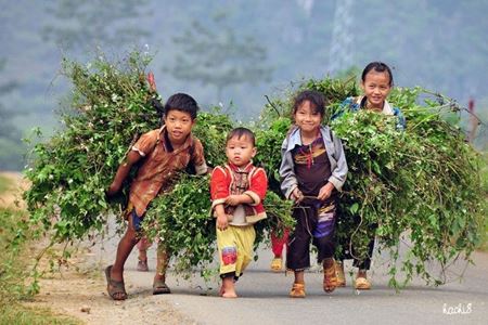 Itinéraire Vietnam 3 semaines - mon retour aux sources émouvant